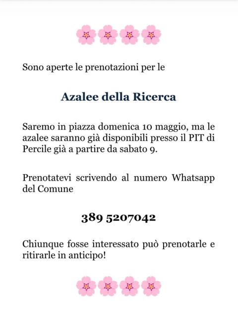Azalee della Ricerca