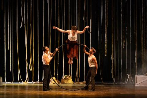 Materiaviva Performance