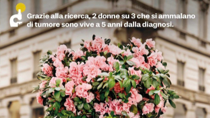 Azalee della Ricerca